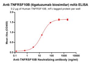 Antibody A318924-100