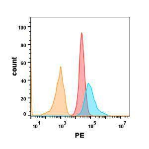 Antibody A318924-100