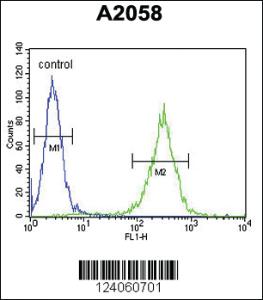 Anti-HSD17B12 Rabbit Polyclonal Antibody