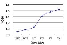 Anti-CD86 Antibody Pair