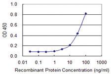 Anti-PIGS Mouse Monoclonal Antibody [clone: 3F3]