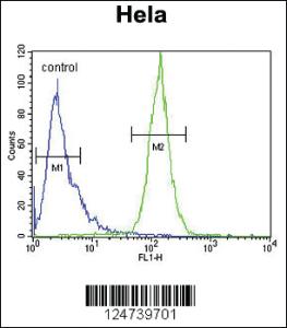 Anti-PPIC Rabbit Polyclonal Antibody