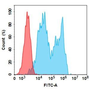 Flow cytometry analysis with Anti-CD20 Chimeric Antibody [Rituximab Biosimilar] - Azide free (A318931) at 2 µg/ml on Expi293 cells transfected with Human CD20 protein (blue histogram) or Expi293 transfected with irrelevant protein (red histogram). antibody