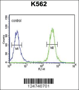 Anti-TREF1 Rabbit Polyclonal Antibody