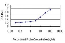 Anti-IQGAP3 Mouse Monoclonal Antibody [clone: 6E3]