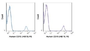 Anti-CD19 Mouse Monoclonal Antibody (PE (Phycoerythrin)) [clone: HIB19]