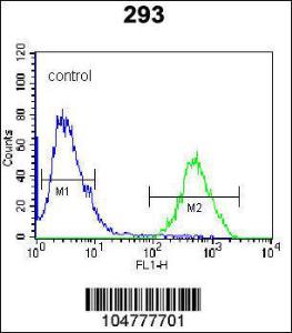 Anti-RCE1 Rabbit Polyclonal Antibody (FITC (Fluorescein))