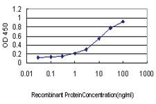 Anti-SH2D3C Mouse Monoclonal Antibody [clone: 2E3]