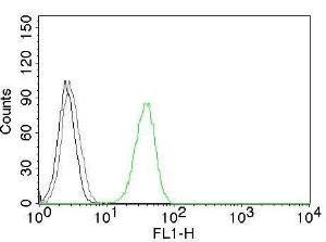 Flow cytometric analysis of Jurkat cells labeling CD31 with Anti-CD31 Antibody [C31.3] (AF488) (Green) (Red). Cells alone (Black). Isotype Control (Gray)