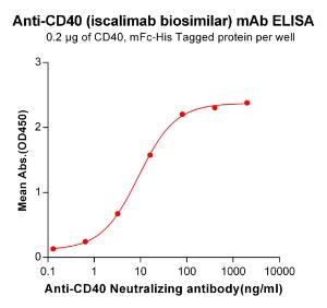 Anti-CD40 antibody