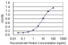 Anti-TRPC1 Mouse Monoclonal Antibody [clone: 1E4]