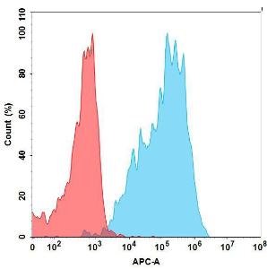 Anti-BCMA Recombinant Recombinant Antibody