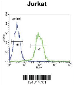 Anti-DSG3 Rabbit Polyclonal Antibody