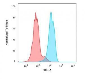 Flow cytometric analysis of PFA fixed MCF-7 cells using Anti-FOXA1 Antibody [FOXA1/1518] followed by Goat Anti-Mouse IgG (CF&#174; 488) (Blue). Isotype Control (Red)