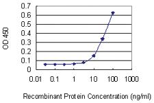 Anti-VSTM2L Mouse Monoclonal Antibody [clone: 3B9]