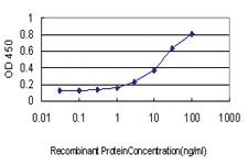 Anti-HSPA2 Mouse Monoclonal Antibody [clone: S51]