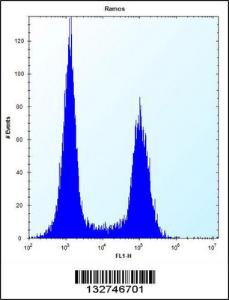 Anti-TMEM55B Rabbit Polyclonal Antibody (HRP (Horseradish Peroxidase))