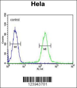 Anti-GALNT4 Rabbit Polyclonal Antibody (FITC (Fluorescein Isothiocyanate))