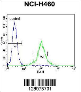 Anti-TMEM100 Rabbit Polyclonal Antibody