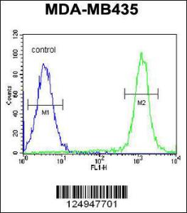 Anti-CA026 Rabbit Polyclonal Antibody (Biotin)