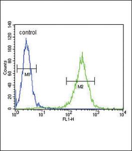 Anti-HSD17B12 Rabbit Polyclonal Antibody (AP (Alkaline Phosphatase))