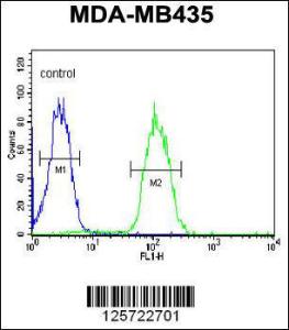 Anti-DHRS7 Rabbit Polyclonal Antibody (HRP (Horseradish Peroxidase))