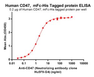 Anti-CD47 Recombinant Recombinant Antibody