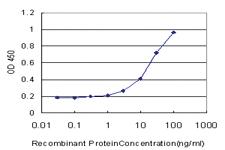 Anti-HPSE1 Mouse Monoclonal Antibody [clone: 4D7]