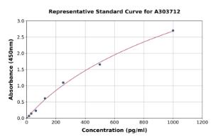 Representative standard curve for Rat ULK1 ELISA kit (A303712)