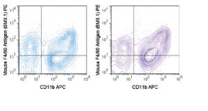 Anti-EMR1 Rat Monoclonal Antibody (PE (Phycoerythrin)) [clone: BM8.1]