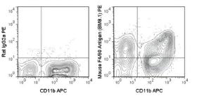 Anti-EMR1 Rat Monoclonal Antibody (PE (Phycoerythrin)) [clone: BM8.1]