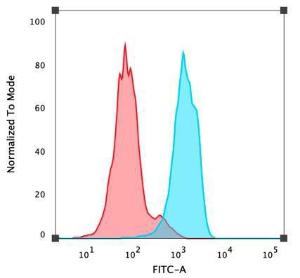 Flow cytometric analysis of PFA fixed MCF-7 cells using Anti-FOXA1 Antibody [FOXA1/1519] followed by Goat Anti-Mouse IgG (CF and #174; 488) (Blue). Isotype Control (Red)