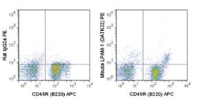 Anti-LPAM1 Rat Monoclonal Antibody (PE (Phycoerythrin)) [clone: DATK32]