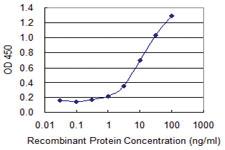 Anti-C4B Mouse Monoclonal Antibody [clone: 1F2]