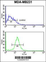 Anti-DIRAS1 Rabbit Polyclonal Antibody (APC (Allophycocyanin))