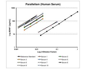 Mature brain-derived neurotrophic factor (BDNF) Rapid™ ELISA kit