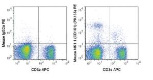 Anti-KLRB1 Mouse Monoclonal Antibody (PE (Phycoerythrin)) [clone: PK136]