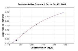 Representative standard curve for Mouse VEGF Receptor 2 ELISA kit (A312403)