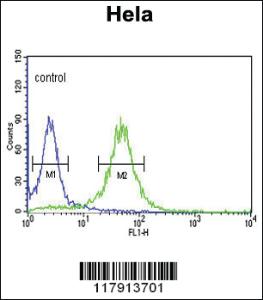 Anti-COG2 Rabbit Polyclonal Antibody