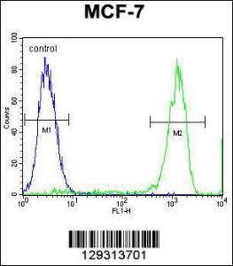 Anti-TMEM132E Rabbit Polyclonal Antibody (AP (Alkaline Phosphatase))