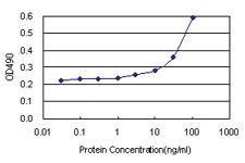 Anti-LGMN Antibody Pair