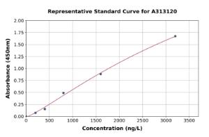 Representative standard curve for Human ADAMTS12 ELISA kit (A313120)