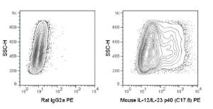 Anti-IL-23/IL-12p40 Rat Monoclonal Antibody (PE (Phycoerythrin)) [clone: C17.8]