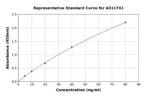 Representative standard curve for Human CTHRC1 ELISA kit (A311741)