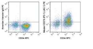 Anti-PDCD1 Armenian Hamster Monoclonal Antibody (PE (Phycoerythrin)) [clone: J43]