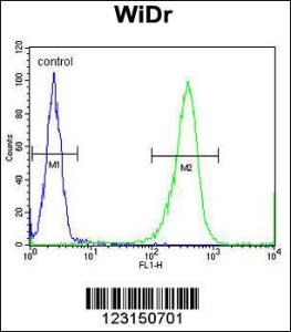 Anti-DIRAS3 Rabbit Polyclonal Antibody (AP (Alkaline Phosphatase))