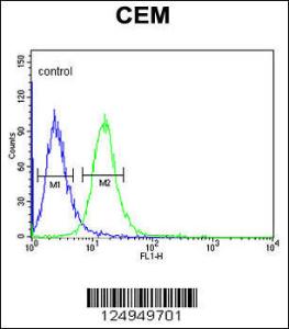 Anti-ZNF160 Rabbit Polyclonal Antibody