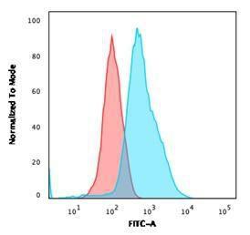 Flow cytometric analysis of PFA fixed HeLa cells using Anti-Annexin A1 Antibody [ANXA1/1672] followed by Goat Anti-Mouse IgG (CF and #174; 488) (Blue). Isotype Control (Red)