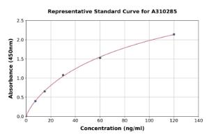 Representative standard curve for Human ULBP3 ELISA kit (A310285)