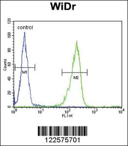 Anti-IL31 Rabbit Polyclonal Antibody